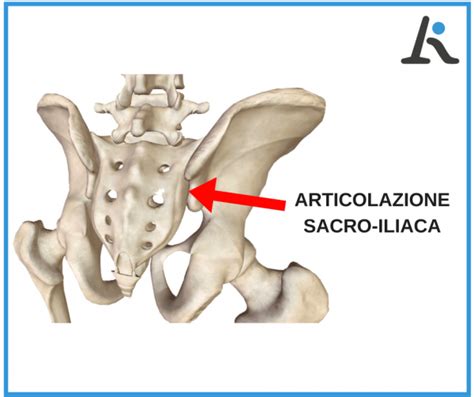 5 esercizi e consigli per ridurre la tua sacroileite - L ...