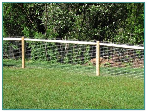 Chicken Wire Fence For Dogs Home Improvement