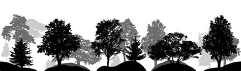 Set Of Trees Silhouettes Isolated Vector Stock Illustration Download