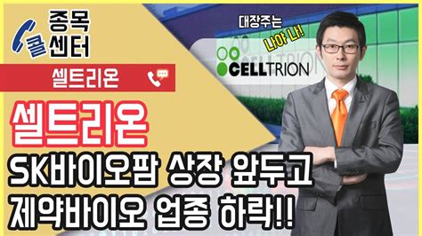경쟁력 있는 기업이란 시장에서의 지위, 사업구조, 지배구조, 이익 성장성의 관점에서 탁월한 우위를 지닌 기업을 의미한다. 셀트리온, SK바이오팜 상장 앞두고제약바이오 업종 하락!! - YouTube