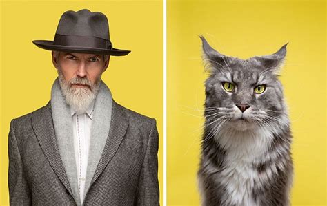 17 Pictures Of Cats And The People Who Look Like Them