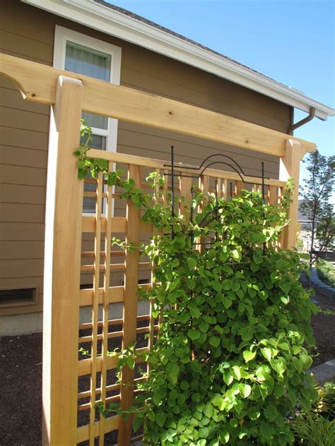 Trellis For Vines Privacy Garden Adventures For Thumbs Of All