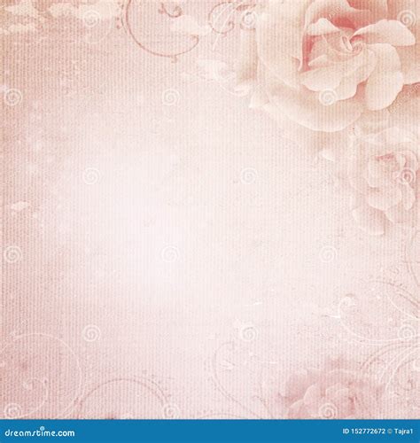 Grunge Pink Wedding Background With Roses Stock Photo Image Of Border