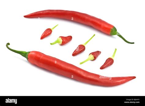 Red Hot Chili Peppers Isolated Stock Photo Alamy