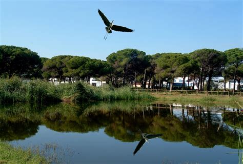 We did not find results for: Granollers, una ciudad única a 20 minutos de Barcelona ...