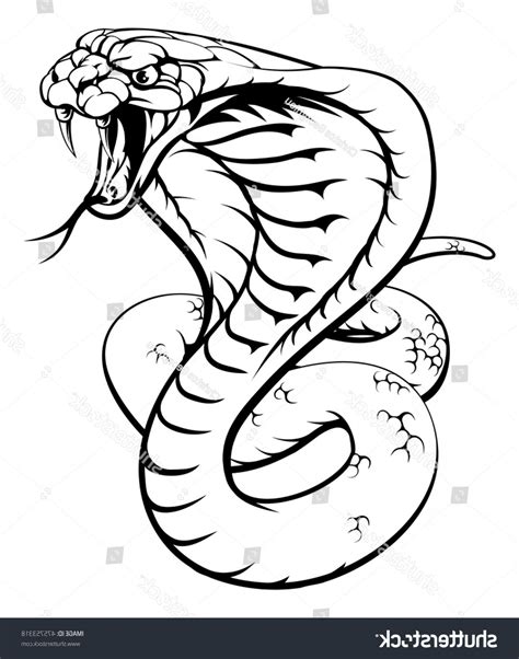 Cartoon Snake Head Drawing Snake Drawing Cobra Head Getdrawings