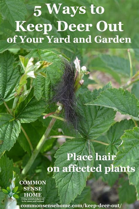 Add levels to your yard. Pin on Garddn