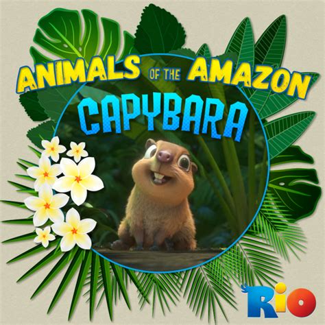 Clara The Capybara