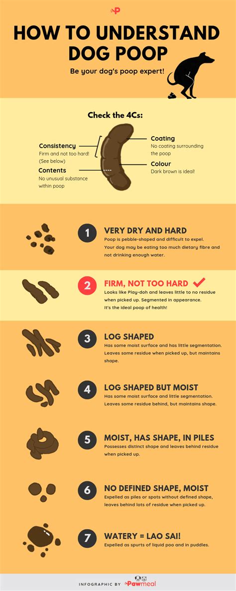 Dog Poop Color Chart Find Out What Each Color Means Dog Poop Chart