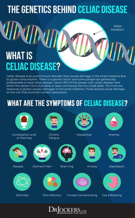 Celiac Disease Symptoms Causes And Natural Support Strategies