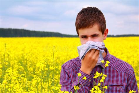 Pollen Allergy Stock Image Image Of Handkerchief Handsome 31229355