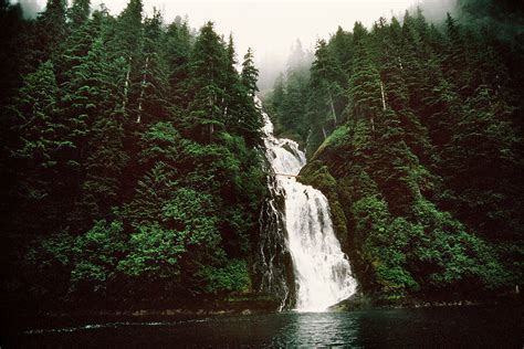 Alaskas Tongass National Forest Set To Be Exempt From Roadless Rule