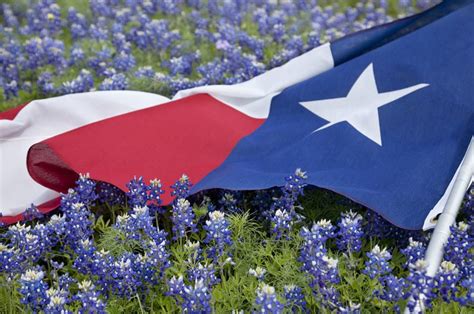 Thus, 2 march is clearly the most patriotic day of the year to be a texan! Celebrate Texas Independence Day at the Site Where Texas Began