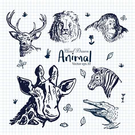Hand Drawn Animal Illustration Set 336185 Vector Art At Vecteezy