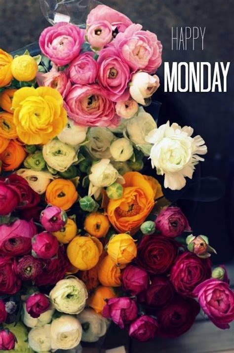 Beautiful Happy Monday Flowers Pictures Photos And Images For