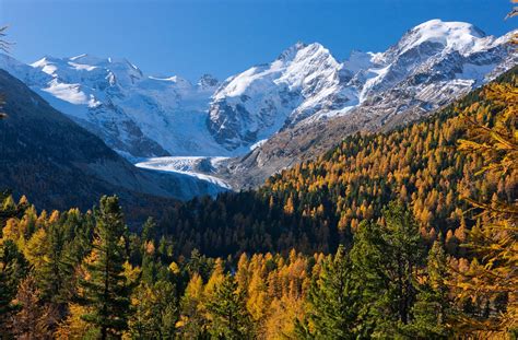 Moritz originally owes its importance to its mineral springs, to which people have. Alla scoperta del ghiacciaio del Bernina | Estate a ...