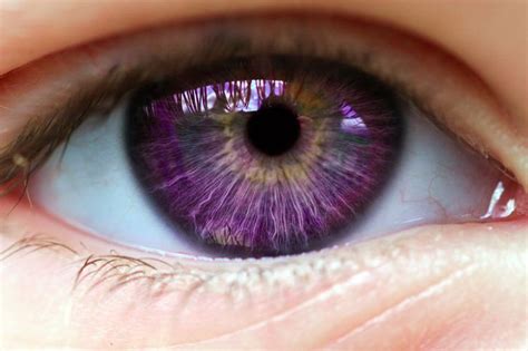 Alexandrias Genesis Also Known As Violet Eyes A Mutation It Does