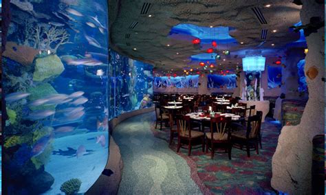 Thanksgiving is a time to gather with loved ones. 10 Best Kid Themed Restaurants in Houston - Kid 101