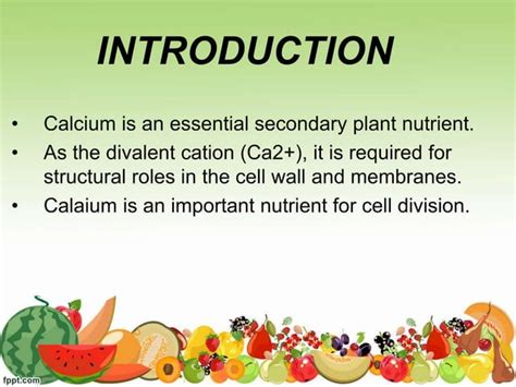 calcium importance in vegetables ppt