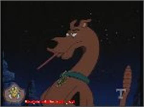 You decided how this fight began, cause i have. Scooby-Doo and the Alien Invaders
