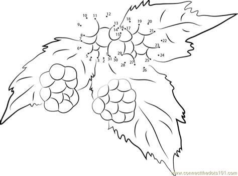 For best results, plant your blackberry bushes in early spring. Blackberry Fruit Tree Ripe Bramble dot to dot printable ...