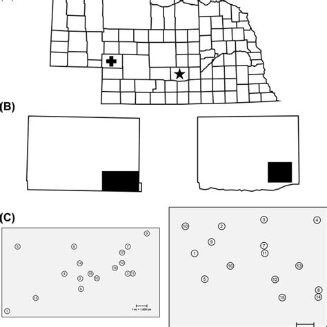 Sampling Grid System Established In Two Nebraska Counties A County