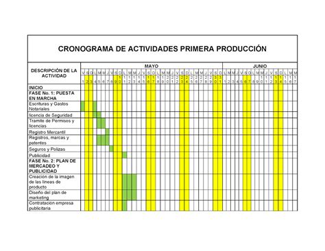 Ejemplo De Un Cronograma