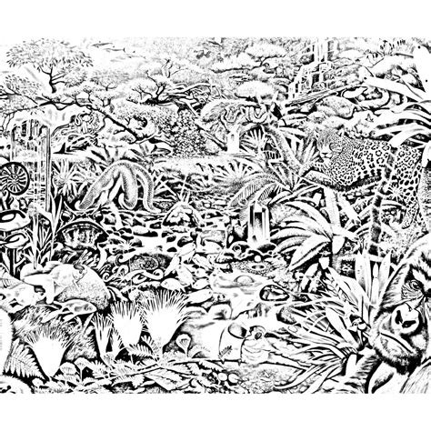 Forest Habitat Without Animals Coloring Pages Animal Habitat Coloring