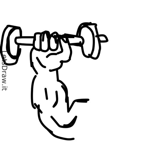 How To Draw Dumbbell Letsdrawit