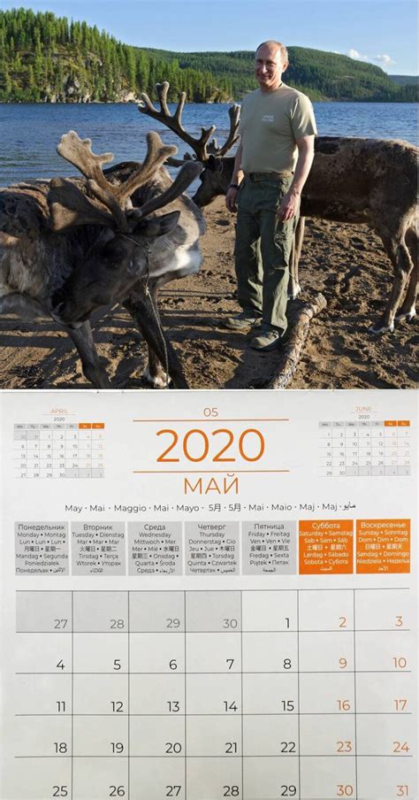 Peak Rut In Ohio 2021 Template Calendar Design
