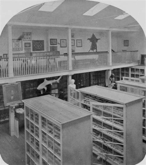 The Chubachus Library Of Photographic History Two Views Of Exhibits In