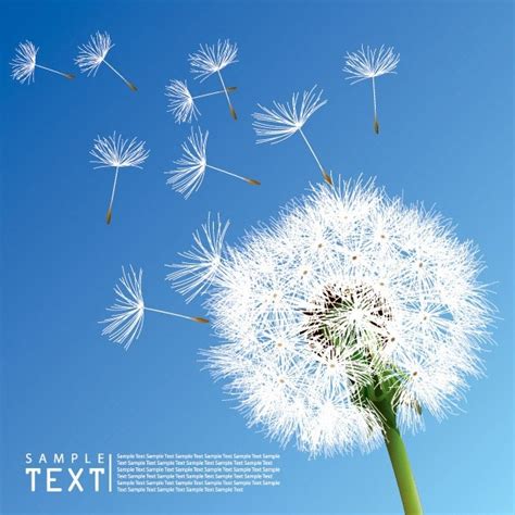 Find & download free graphic resources for dandelion. Dandelion free vector download (91 Free vector) for ...