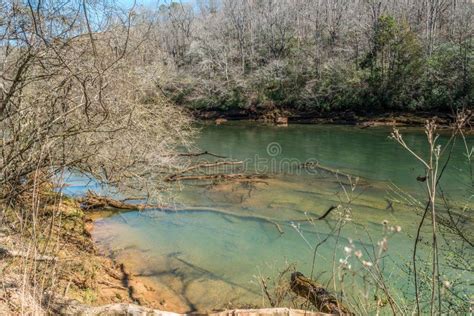Chattahoochee River In Early Spring Stock Image Image Of Edge River