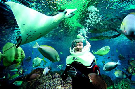 Sea Aquarium Tickets Price 2021 Promotions Online Discounts