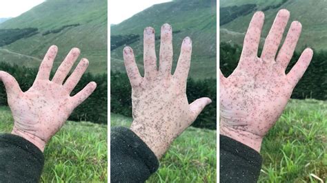 A swarm of midges invaded a beach on the acadian peninsula on sunday, and a biologist says cold spring weather is to blame. Giant Swarm Of Midges Stick To Hand In Scotland - YouTube