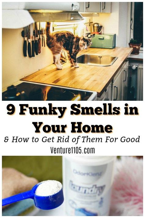 Bad smells in the home can be caused be a combination of factors, most of which you can't control. What are the most common bad smells in your home? How do ...