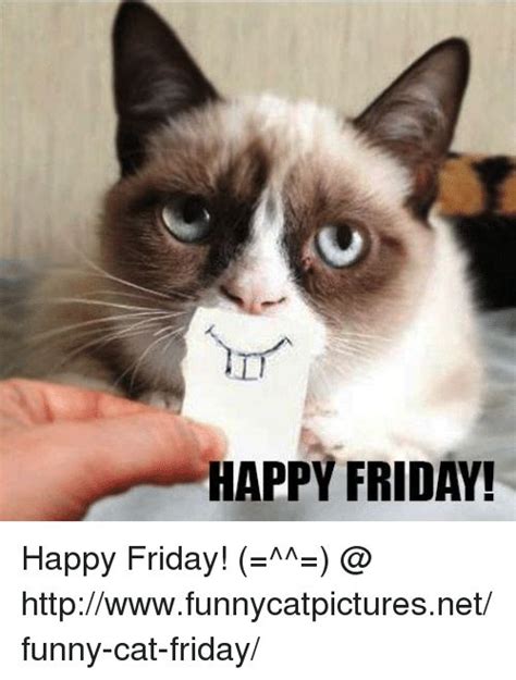 Its Friday Meme Cat Thank God Its Friday Friday Cat Freedom Funny