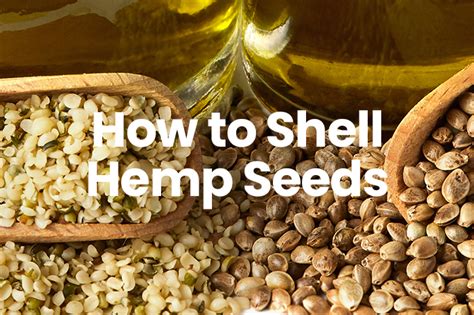 Hemp Seeds Benefits And How To Use Them Fine Dining Lovers