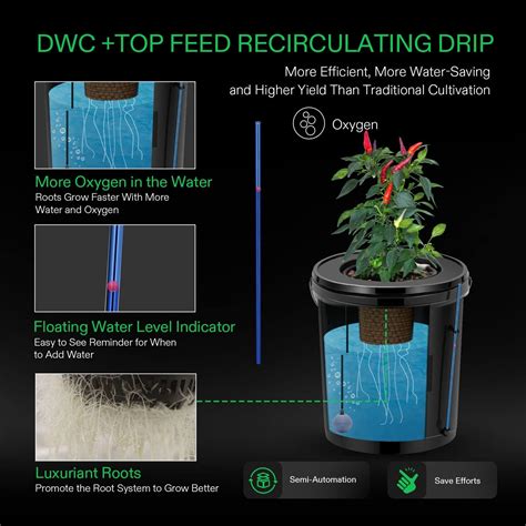 Buy Vivosun Dwc Hydroponics Grow System 5 Gallon Deep Water Culture