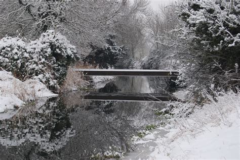 Free Images Tree Nature Branch Snow Cold Winter Bridge Frost