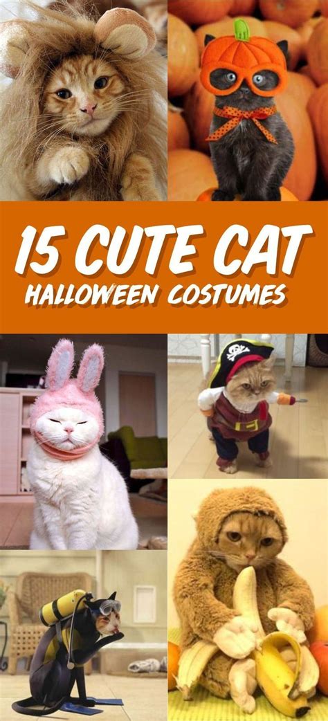 Best Halloween Costumes For Cats Cat In 2022 Cat Halloween Costume