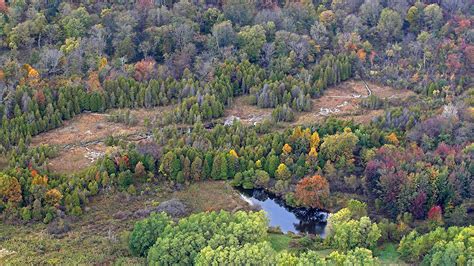 Cedar Bog Nature Preserve Urbana Ohio Photo Gallery