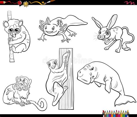 Funny Cartoon Animals Characters Set Coloring Book Page Stock Vector