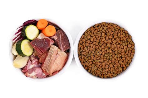 Best dog food for german shepherds. Dog Food Comparison With Bowl With Raw Meat And Vegetables ...