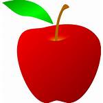 Apple Clipart Stem Leaf Drawing Clip