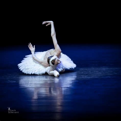 Jack Devant Svetlana Zakharova The Dying Swan 115