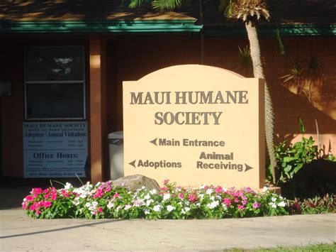 Maui Humane Society | Trip to maui, Maui, Humane society
