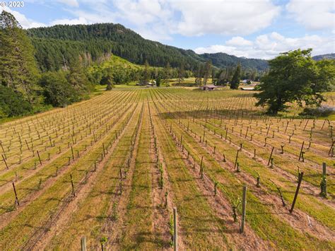 Umpqua Valley Winery And Vineyard For Sale Vinesmart