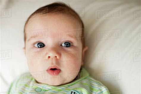Curious Caucasian Baby Boy Stock Photo Dissolve