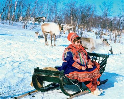 what the sami can teach britain s rulers about country life